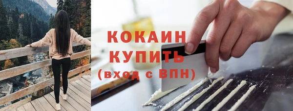 дмт Медногорск