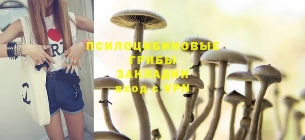 мескалин Майский