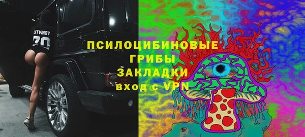 мескалин Майский