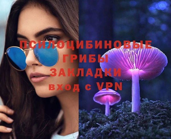 прущие крисы Магадан