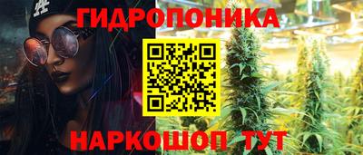 прущие крисы Абинск