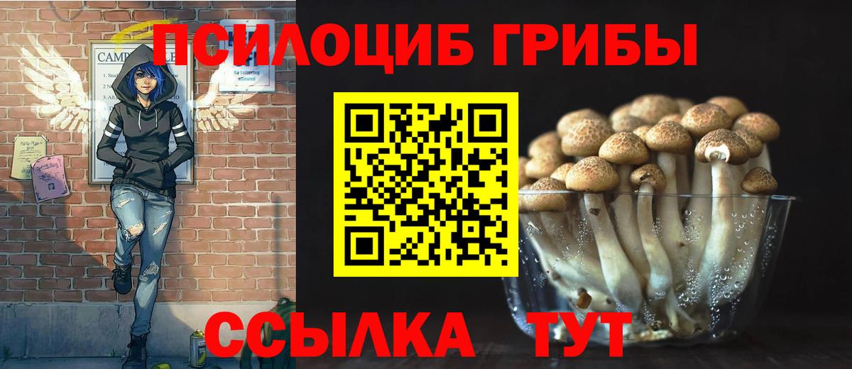 Родники  Галлюциногенные грибы ЛСД  Галлюциногенные грибы Magic Shrooms  Вход с VPN 